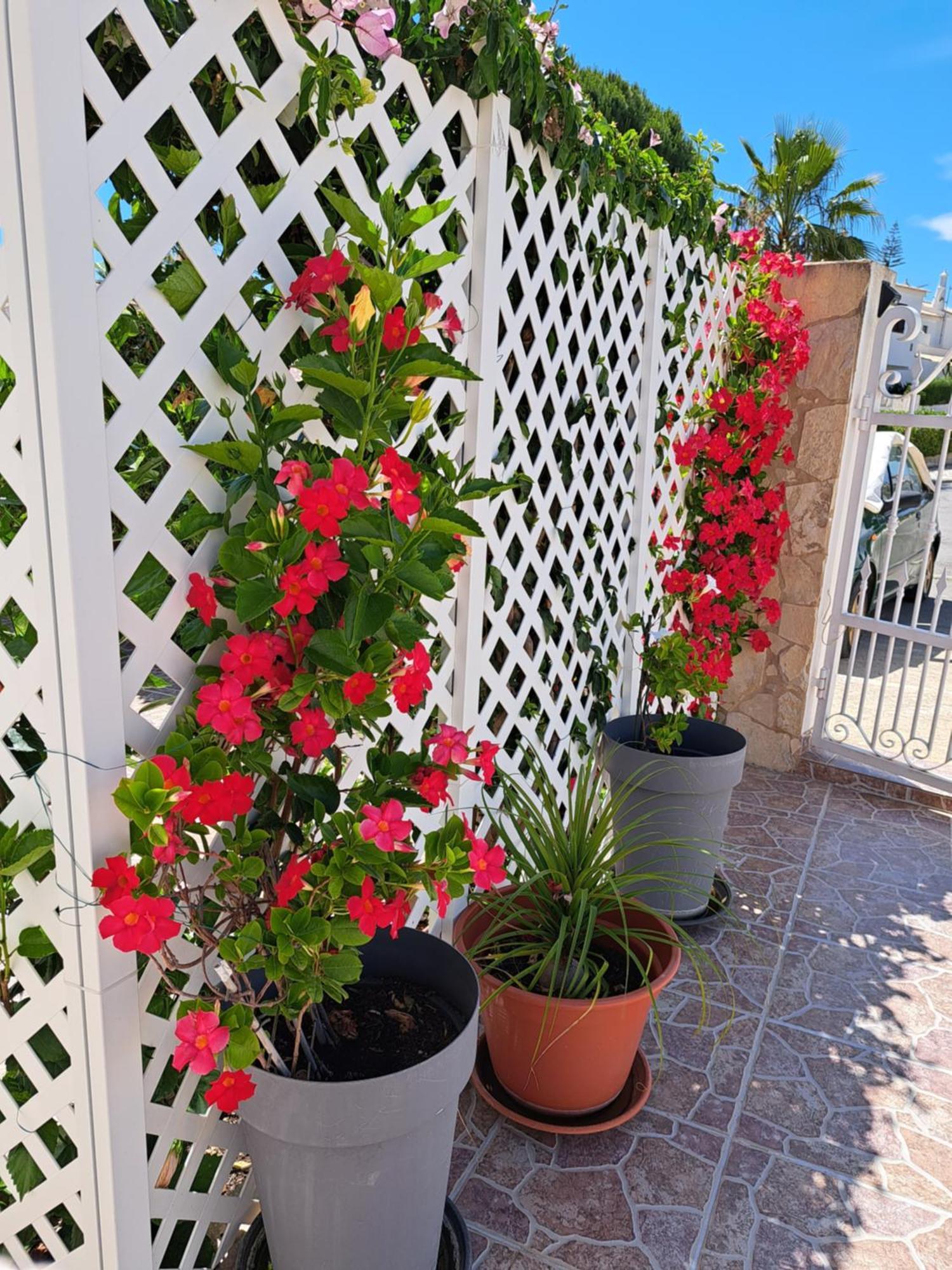 Villa Mariamar Albufeira Bagian luar foto